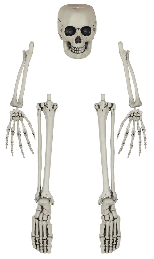 Dekorace kostra vylézající z hrobu - skeleton - 5 ks - Halloween