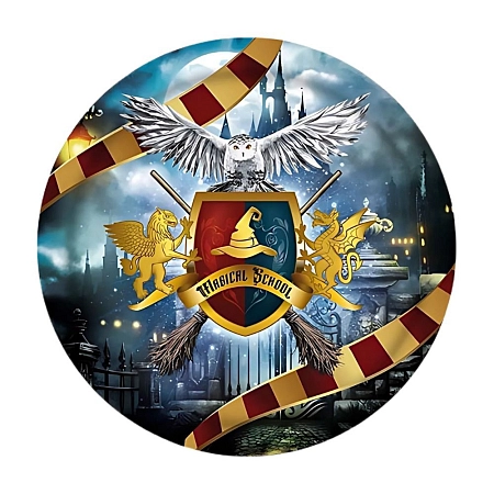 Papírové talíře čaroděj - kouzelník HARRY - 6 ks - 23 cm