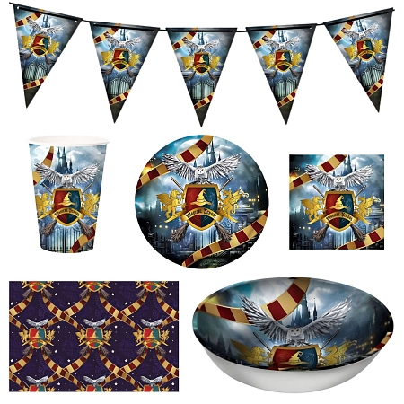 Dětská narozeninová sada čaroděj Harry - 12 osob