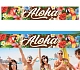 Banner - plachta Hawaii - havaj - Aloha - 290 x 50 cm