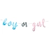 Girlanda Gender reveal - Boy or Girl -  Kluk nebo Holka - 213 cm